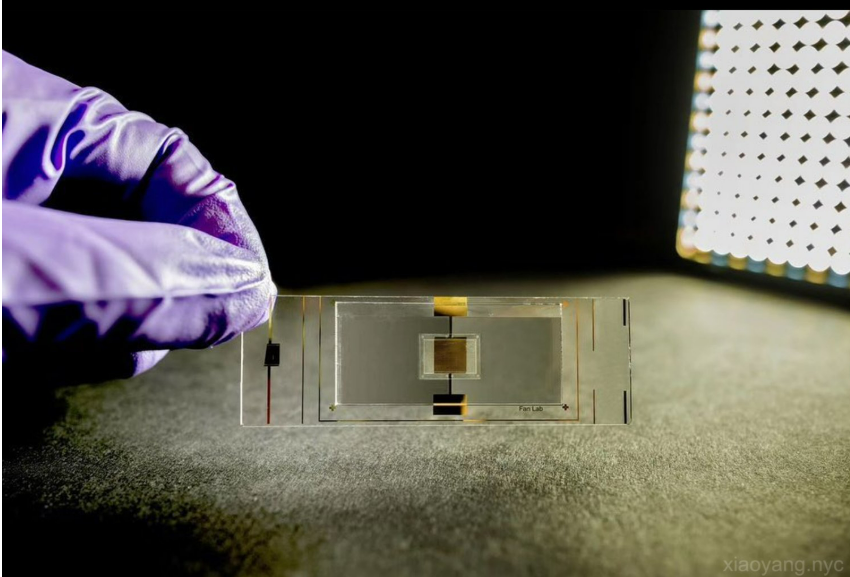 Single Cell Trapping Chip Xiao helped to develop. Photo by Dr. Yang Xiao, 2020